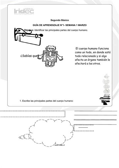 PDF 2 Marzo Guias De Aprendizaje Ciencias Naturales DOKUMEN TIPS