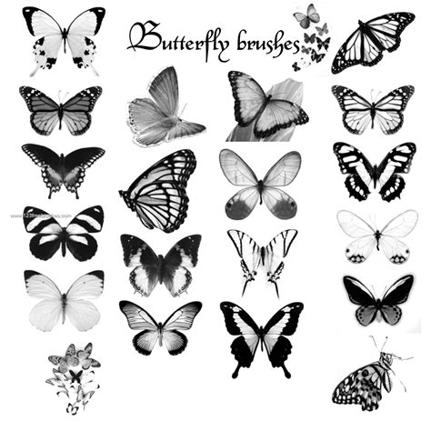 Butterfly Psd