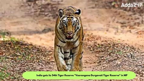 India gets its 54th Tiger Reserve "Veerangana Durgavati Tiger Reserve ...