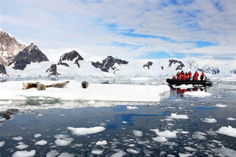 Classic South Georgia Mv Ushuaia Chimu Adventures