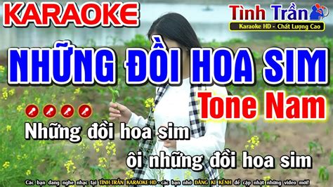 Nh Ng I Hoa Sim Karaoke Nh C S Ng Tone Nam Dm T Nh Tr N Organ