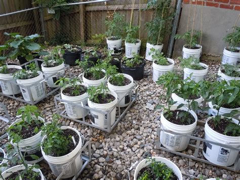 Backyard Bucket Garden | Backyard vegetable gardens, Raised garden beds ...