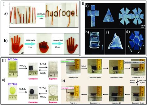 Hydrogel Actuators Induced By Chemical Stimuli I Gel Strips