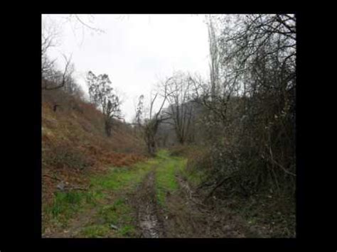 El Camino Primitivo Oviedo Escamplero San Juan De Villapa Ada