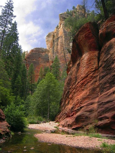 Oak Creek Canyon Coconino National Forest Coconino National Forest Arizona Oak Creek Canyon