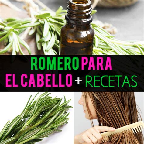 Romero Para El Cabello Crecimiento Usos Beneficios Recetas La