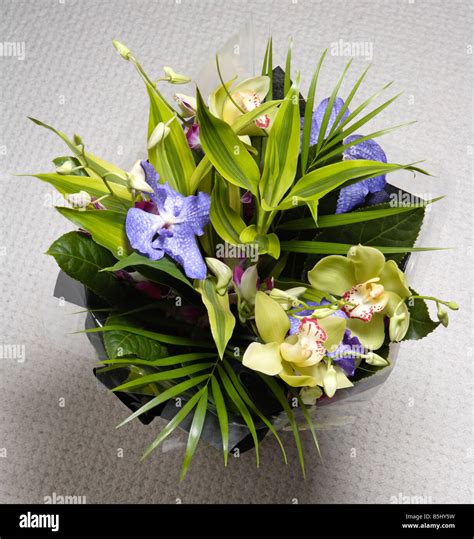 Bouquet of Orchids Stock Photo - Alamy