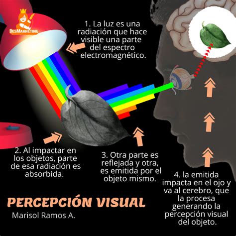 Psicología del color en Marketing Digital La guía más práctica Blog