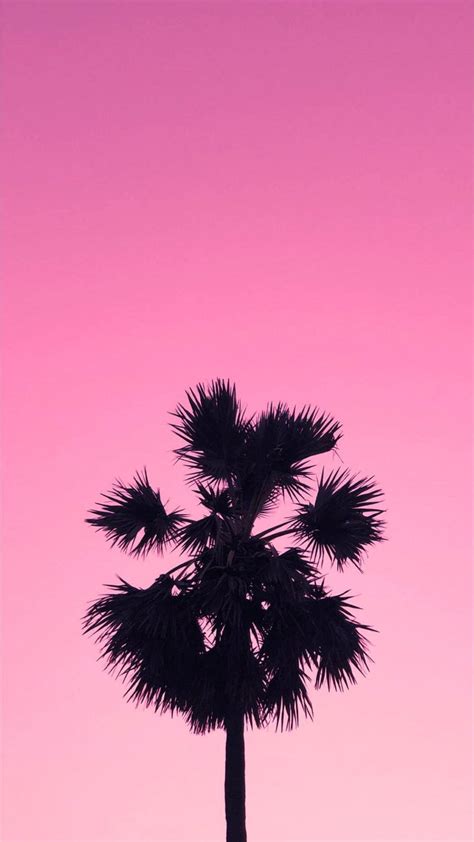 Update 56 Pink Palm Tree Wallpaper Super Hot In Cdgdbentre