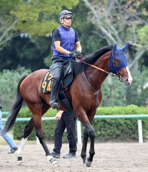 2連勝中ローシャムパークは坂路で53秒2 週末の雨予報は歓迎／セントライト記念｜極ウマ・プレミアム