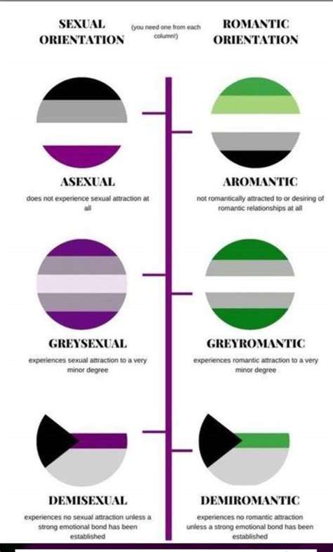 Diferencias Arromanticismo 💚 Asexualidad 💜 L Lgbt ♡ Amino