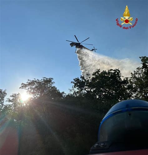 Incendi Lazio Bruciati Ettari Di Bosco E Macchia Nel Sud Pontino Foto