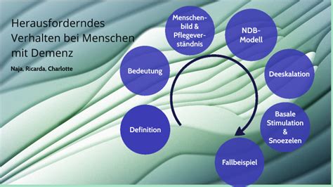 Herausforderndes Verhalten Bei Menschen Mit Demenz By Charlotte Ermonis