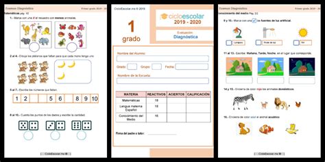 Examen Diagnóstico Primer Grado 2019 2020 Imagenes Educativas