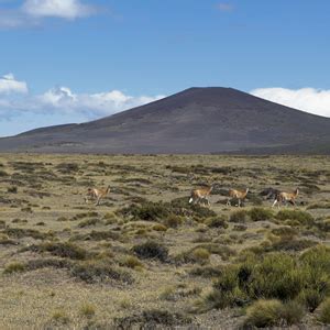 La Payunia La Regi N Del Planeta Con Mayor Densidad De Volcanes Est