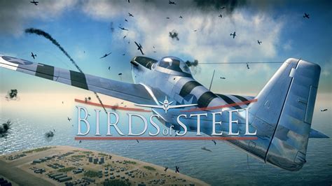 Birds Of Steel Review - vintagefasr