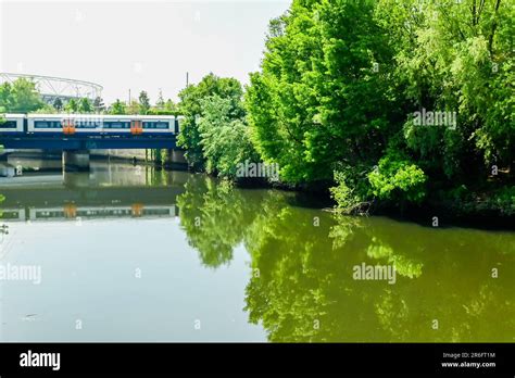 Parklands in Elizabeth Olympic Park, Stratford, London Stock Photo - Alamy