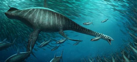 Elasmosaurus Rj Palmer On Artstation Prehistoric Animals