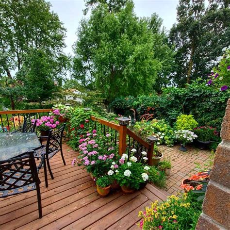 12 Container Garden Design Ideas for Any Space