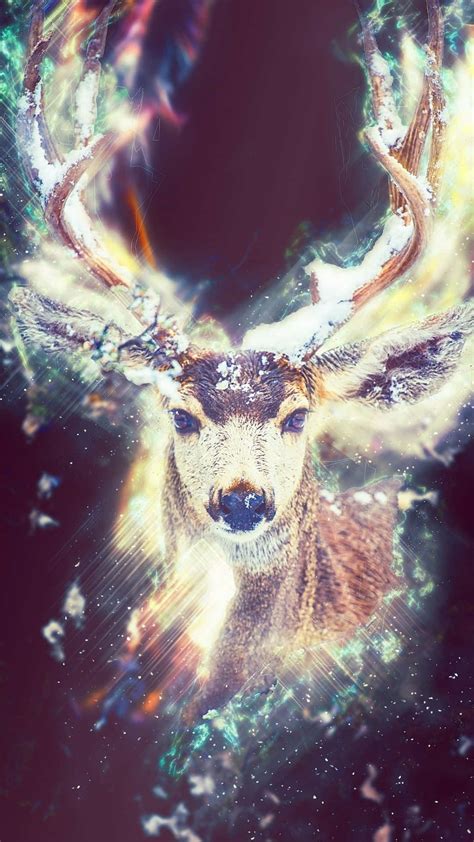 Download Majestic Stag Amidst The Greenery