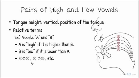 6 2 High And Low Vowels Youtube