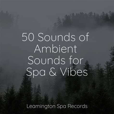 50 Sounds Of Ambient Sounds For Spa And Vibes Album By Forest