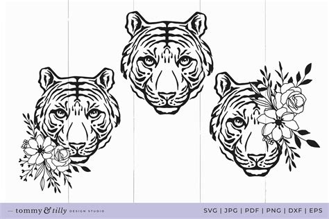 Animal Bundle 20 Designs Cricut Silhouette Svg Dxf Png Etsy