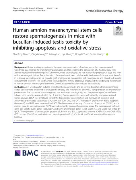 Pdf Human Amnion Mesenchymal Stem Cells Restore Spermatogenesis In