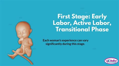 Stages And Phases Of Labor