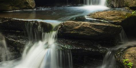 Listening To Nature Sounds At Work Can Boost Your Mood And Productivity, Study Finds | HuffPost ...