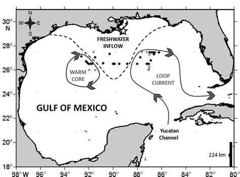 Map Of Study Area In The Gulf Of Mexico GOM Showing Sampling Points