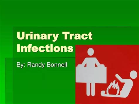 Ppt Urinary Tract Infections Powerpoint Presentation Free Download Id6664233