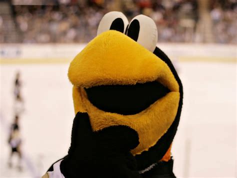 History Of The Penguins Mascots From Pete To Iceburgh