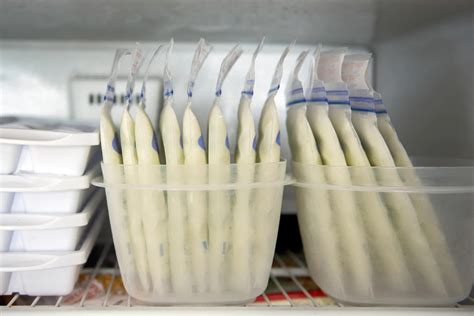 How To Store Breast Milk At Home Storables