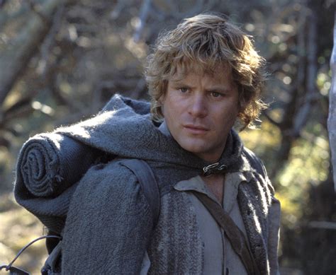 Samwise Gamgee, The Lord Of The Rings Trilogy | Bored Panda