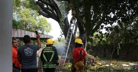 Se Desploma Avioneta En Morelos Un Herido