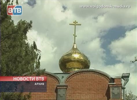 Опасные жуки улетели / Телекомпания ВТВ