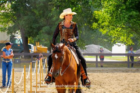 NYSTQHA Quarter Horse Show » New York Wedding Photographer – Ulysses Photography Blog