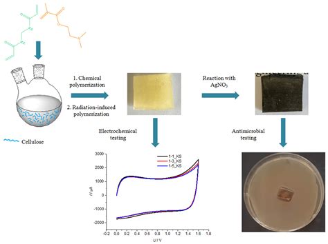 Gels Free Full Text Cellulose G Poly 2 Dimethylamino Ethylmethacrylate Hydrogels