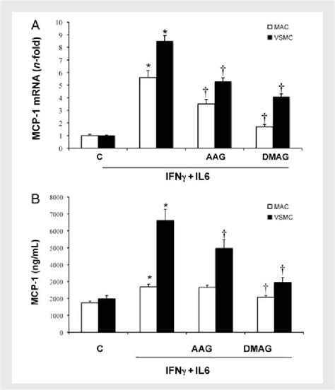 Effect Of Hsp Inhibitors On Mcp Levels In Vascular Cells A