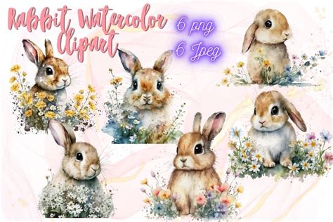 Floral Rabbit Watercolor Clipart Bundle Graphic By Line Store