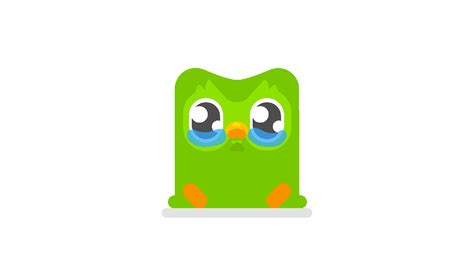 Owl Duolingo Infinitejnr