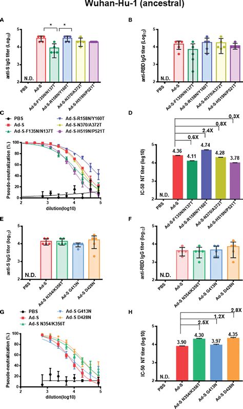 Frontiers Glycan Masking Of Epitopes In The Ntd And Rbd Of The Spike