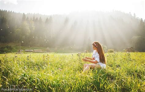 Wallpaper Greens Field Forest Grass Girl Trees Mood Dress Brown