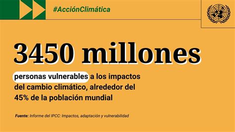 Informe Del Ipcc Impactos Adaptación Y Vulnerabilidad Naciones Unidas