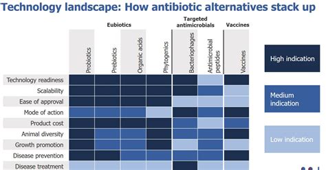 7 Alternatives To Antibiotic Use Identified By Researchers | Bovine ...