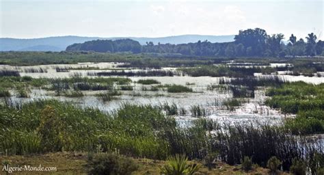 Le Parc National Del Kala En Algérie