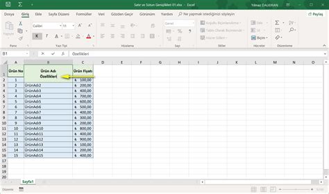 Satır ve Sütun Genişlikleri Temel Düzey Excel Dersleri