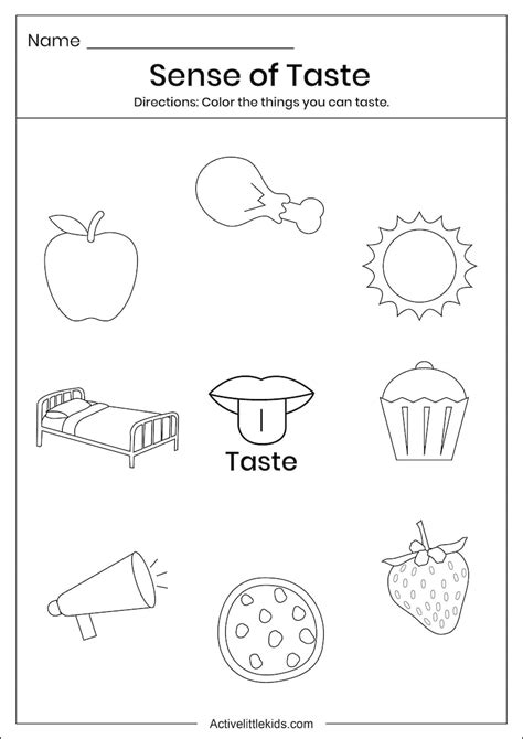 5 Senses Printable Worksheets Distance Learning Etsy