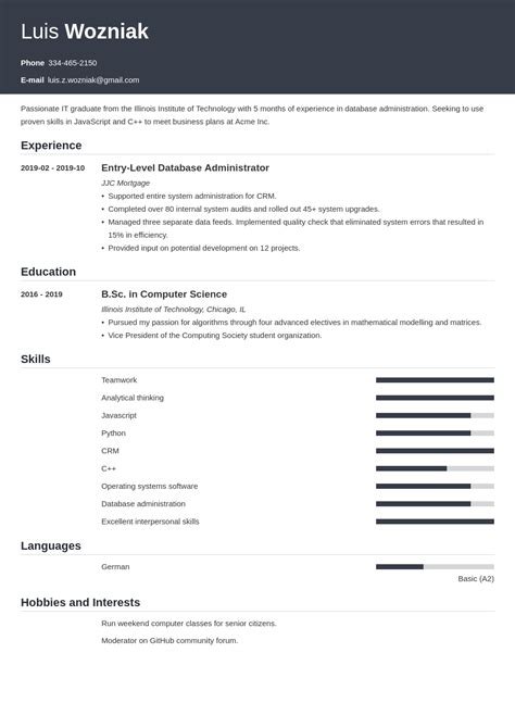 Entry Level It Resume Examples With No Experience